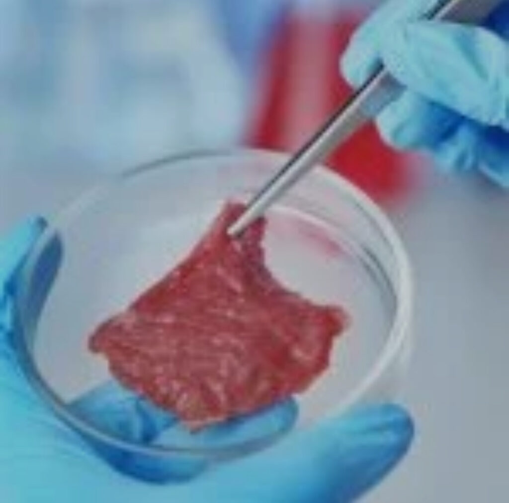 Lab grown meat