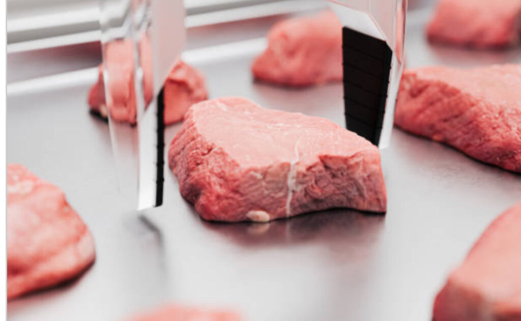 Why lab-grown meat is bad