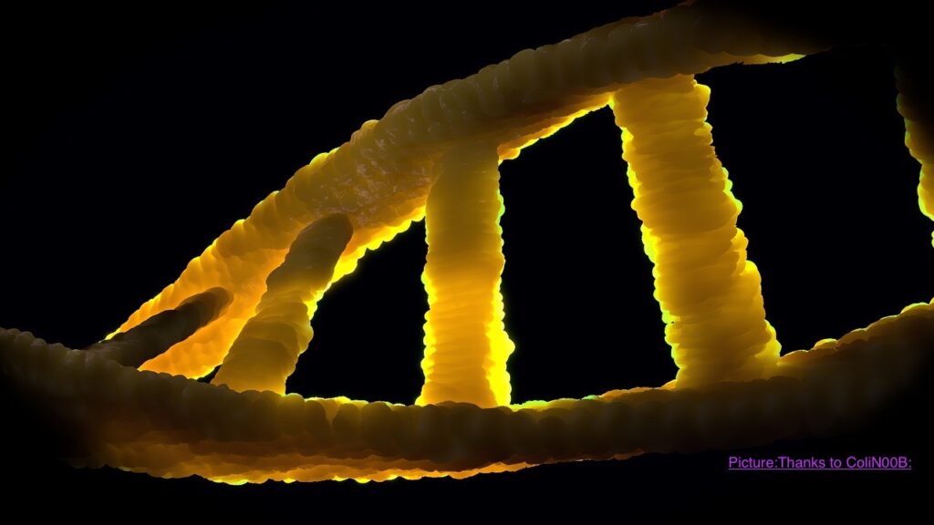 Genetic Reality of Syed Identity in India: