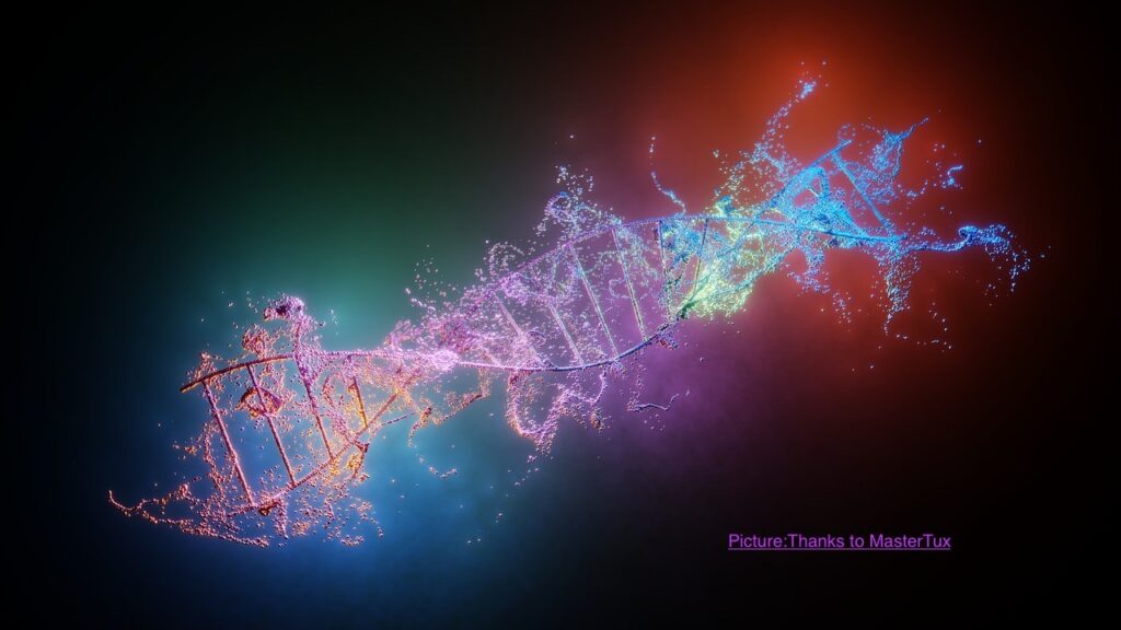 Genetic Reality of Syed Identity in India