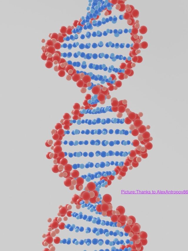 Syed Identity
           The Genetic Contradiction