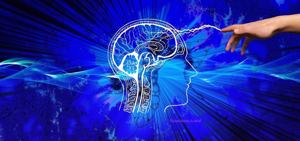 How Neuroscience Explains a 1,400-Year-Old Quranic Verse